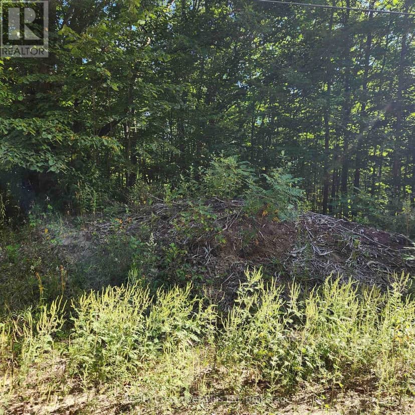 Lt 165 Zhingos Lane — photo 2 of 6