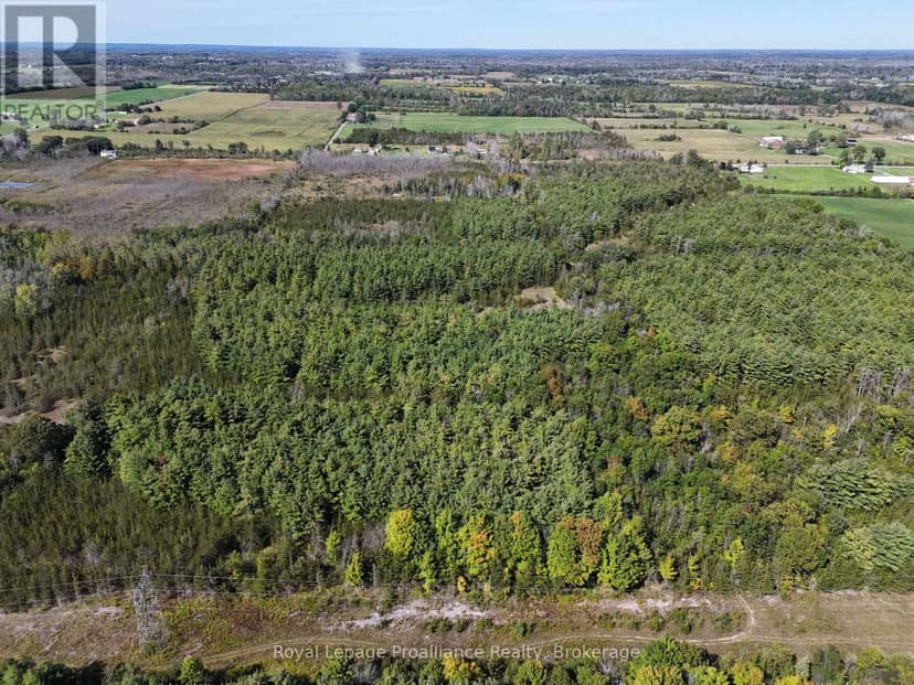 544 Lazier Road, Tyendinaga, photo 8
