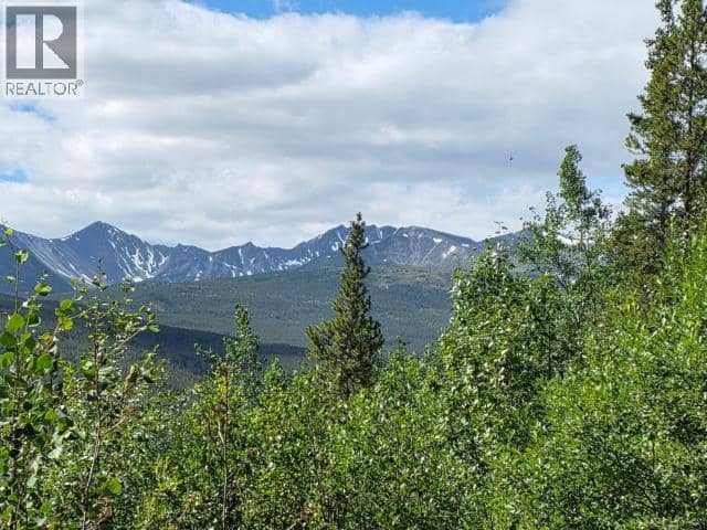 68645 Alaska Highway — photo 2 of 18