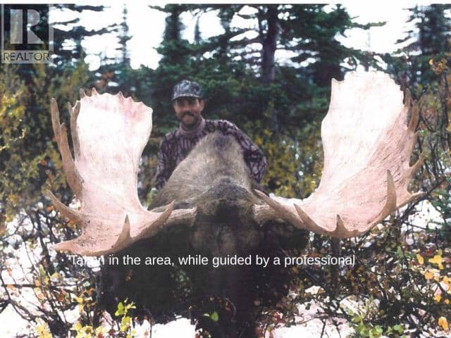 68645 Alaska Highway — photo 16 of 18