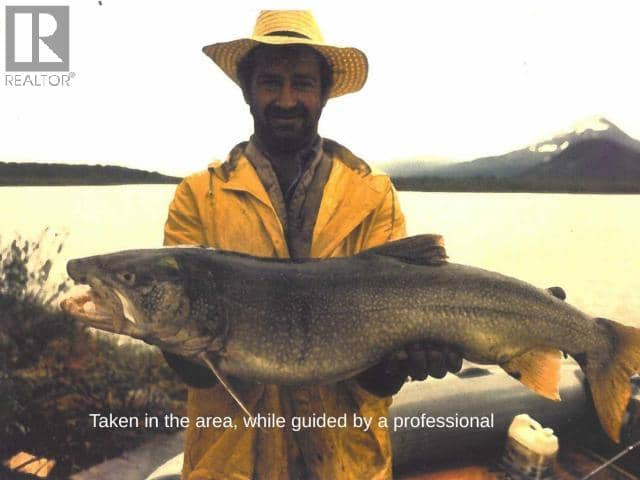 68645 Alaska Highway — photo 14 of 18