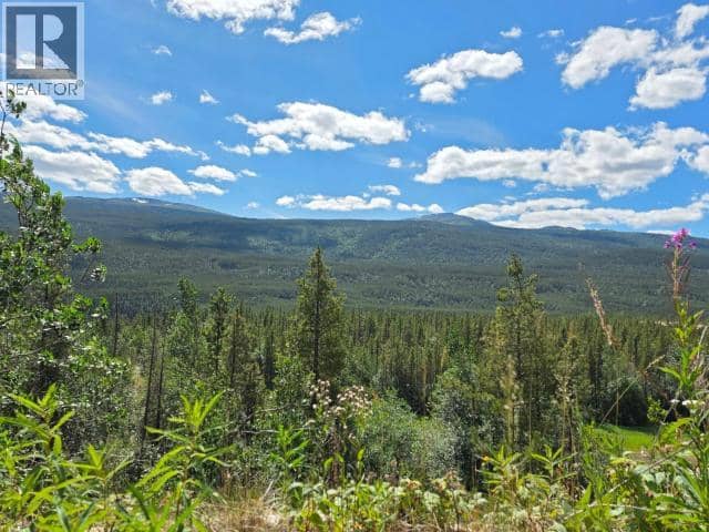 68645 Alaska Highway — photo 11 of 18