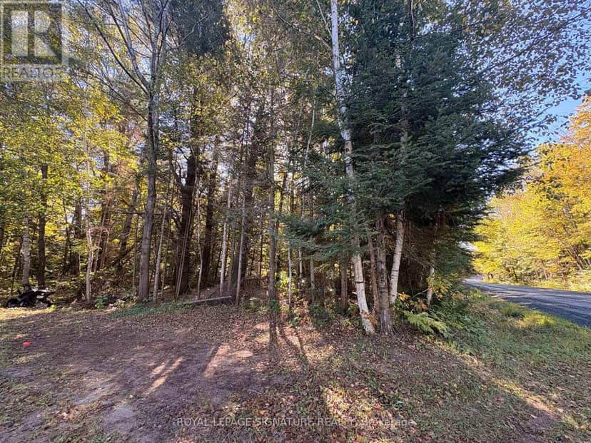 63 Bunny Trail, McDougall, photo 7