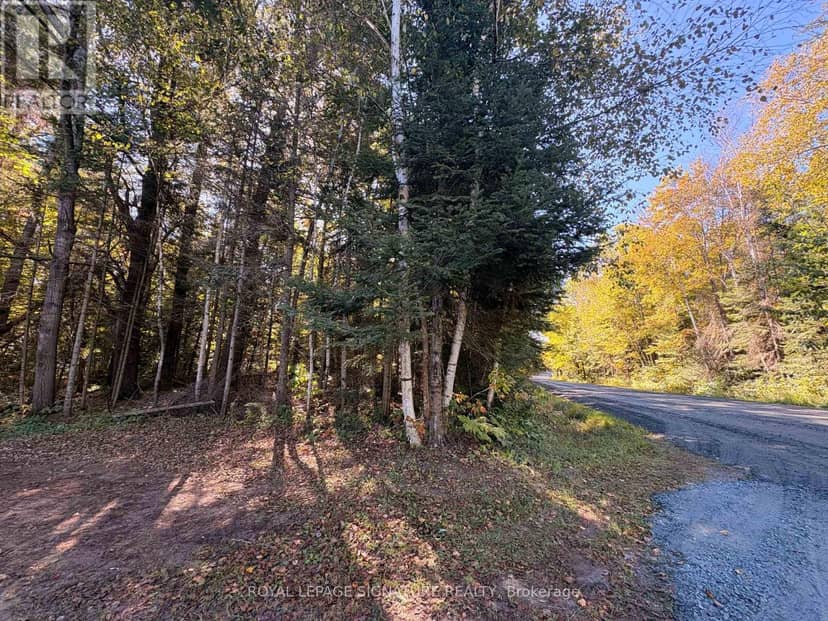 63 Bunny Trail, McDougall, photo 8