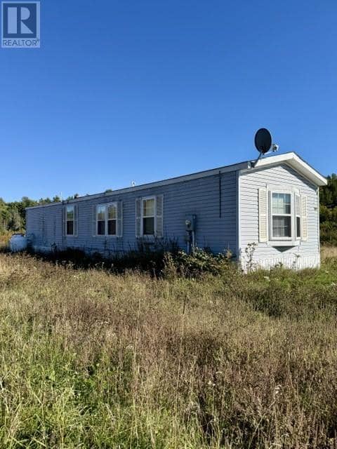1106 Lee Valley Road, Massey, photo 3