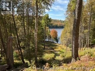 110 Woodbine Lane, Upper Kingsclear, photo 2