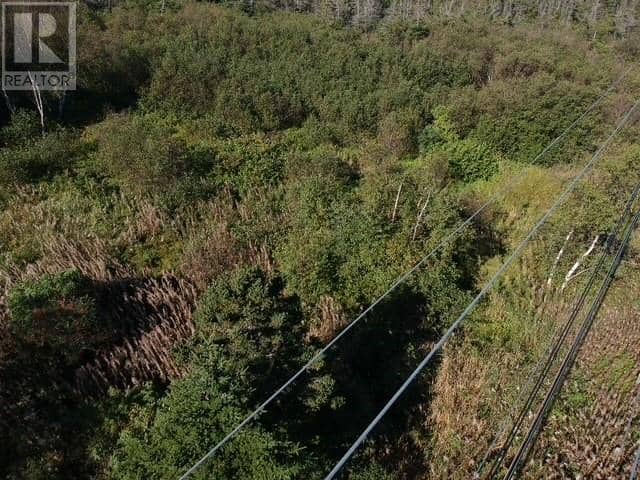 174 Pond Road, Rocky Harbour, photo 4