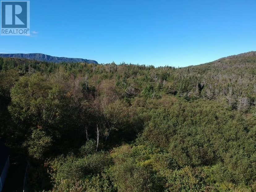 174 Pond Road, Rocky Harbour, photo 5