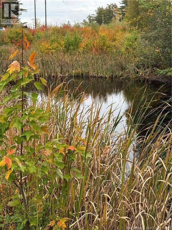 1285 Route 10 — photo 32 of 34