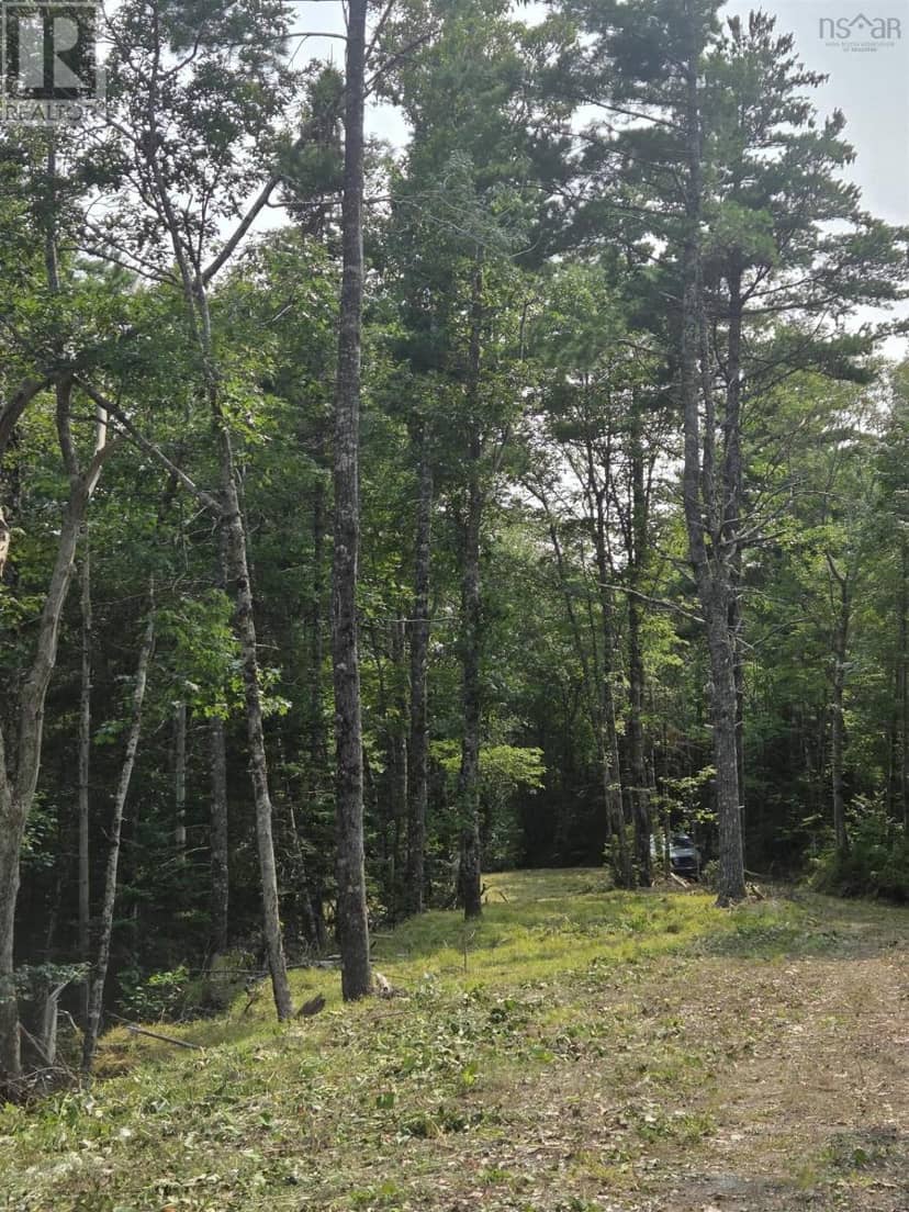 Highway 103 — photo 17 of 20