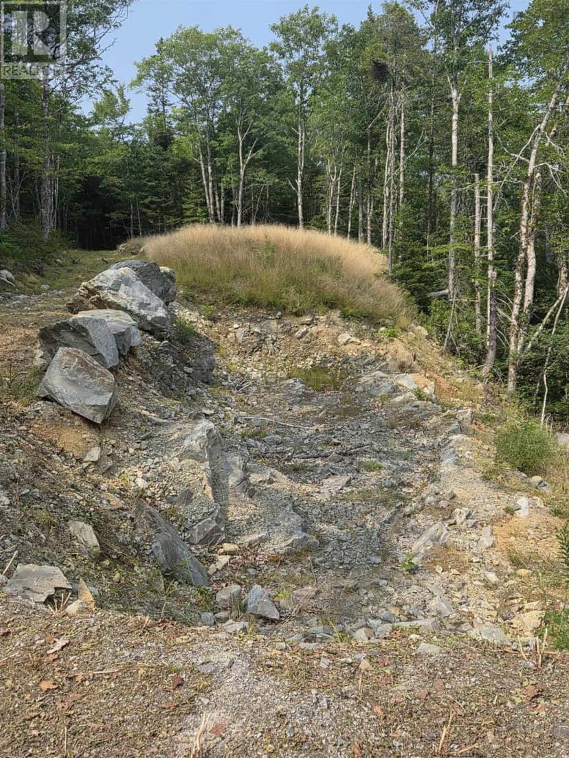 Highway 103 — photo 10 of 20