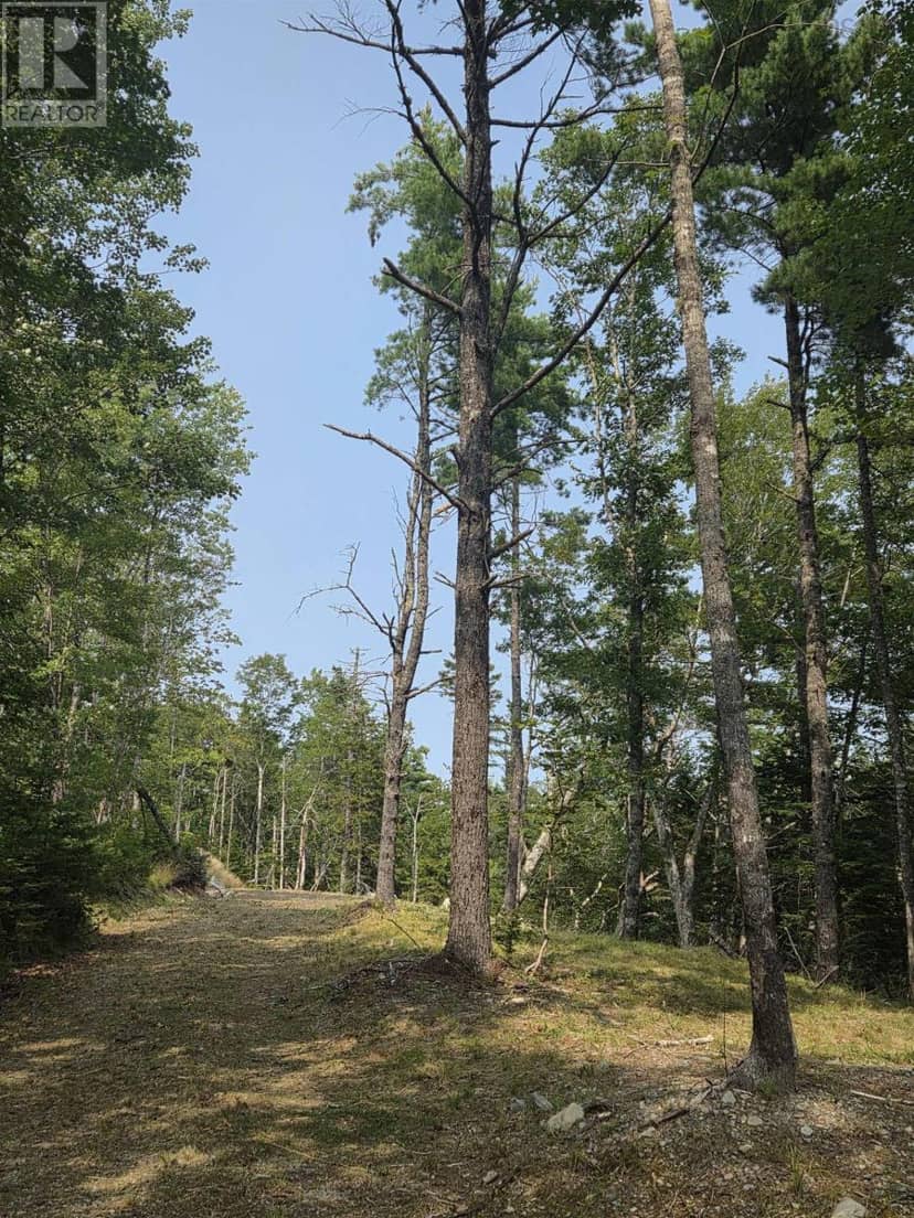 Highway 103 — photo 5 of 20