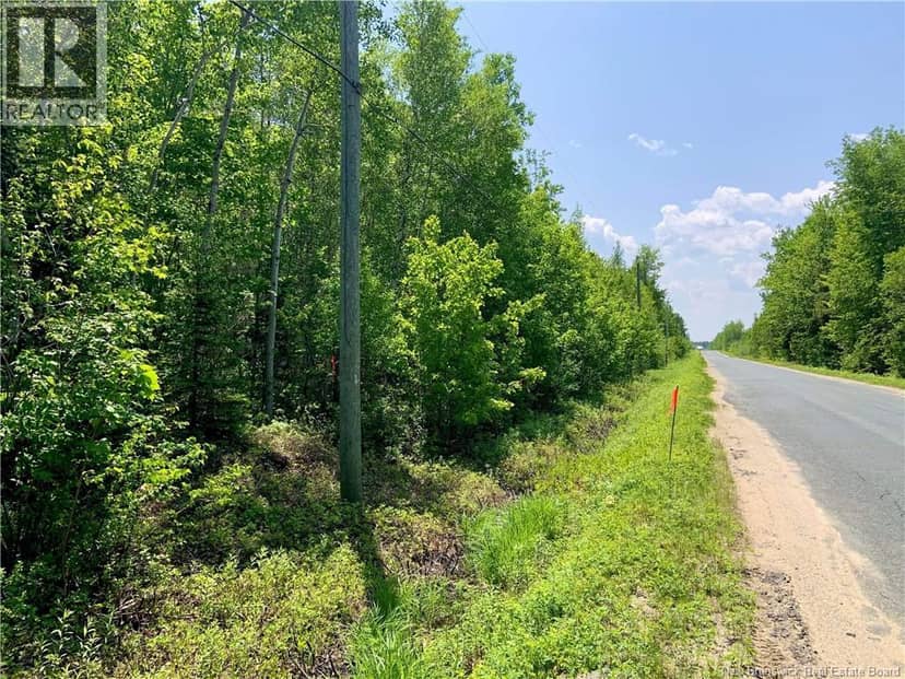 Lot NORTH BLACK RIVER — photo 10 of 14