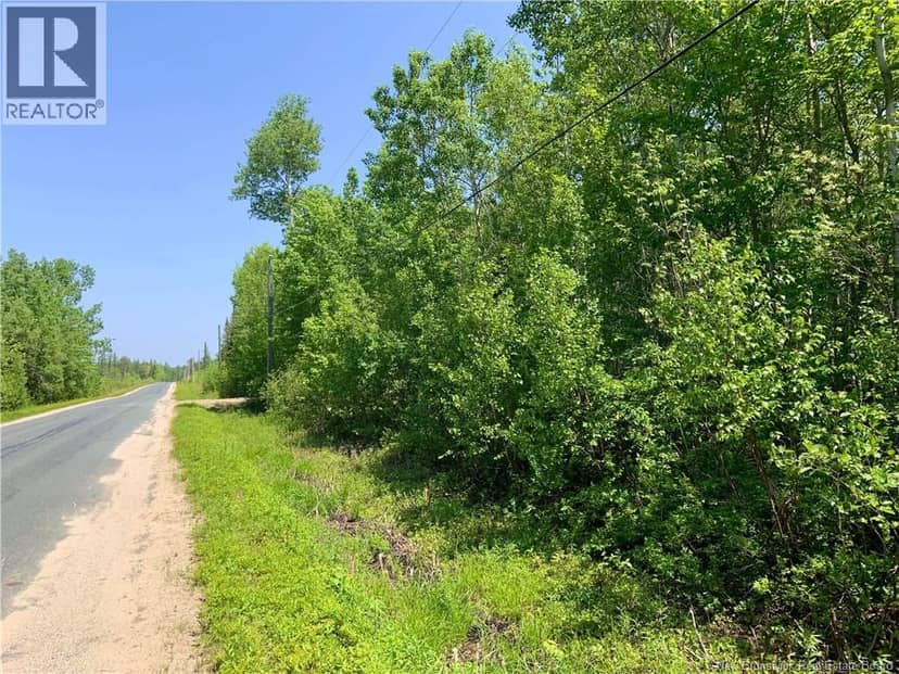 Lot NORTH BLACK RIVER — photo 11 of 14