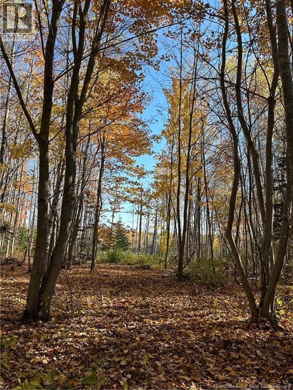 Lot NORTH BLACK RIVER — photo 5 of 14