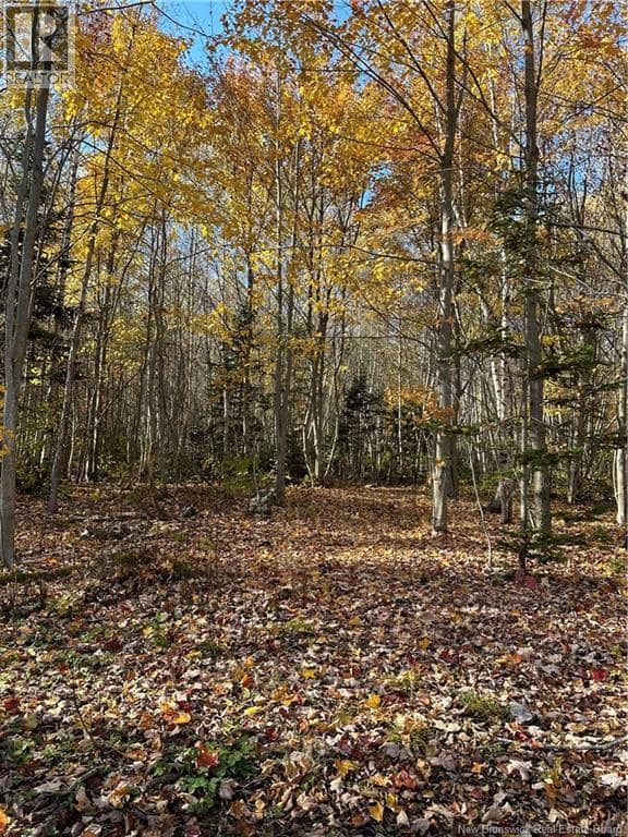 Lot NORTH BLACK RIVER — photo 6 of 14