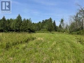 12992 #7 Highway, Lanark Highlands, photo 4