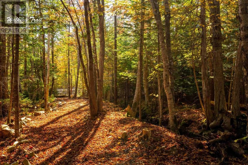 Lot 3 Whitetail Drive — photo 22 of 25