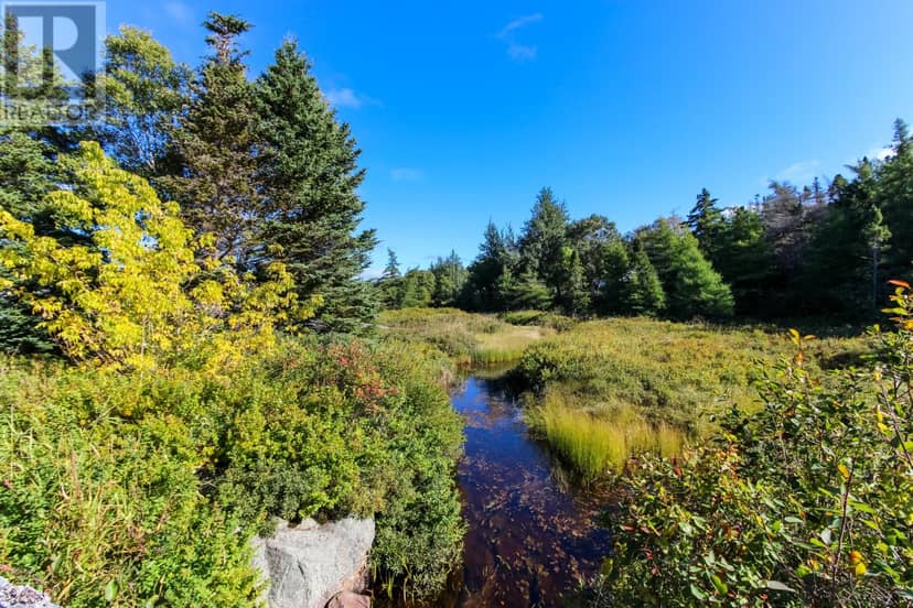 311 Conception Bay Highway, Holyrood, photo 6