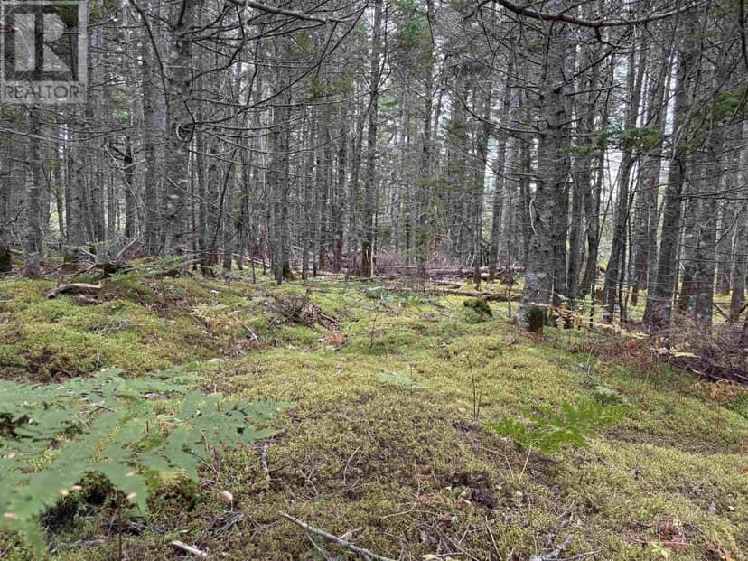 Lot Highway 4 — photo 17 of 24