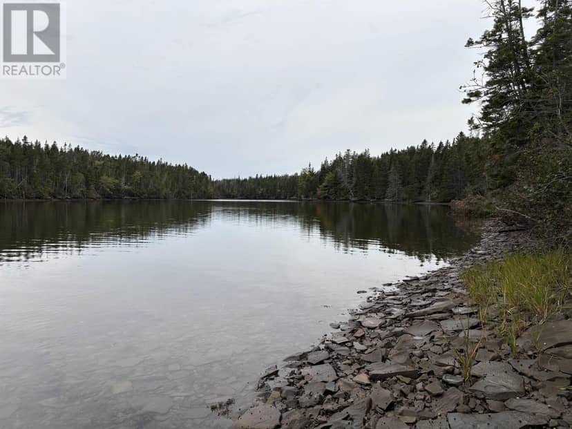 Lot Highway 4, River Tillard, photo 5