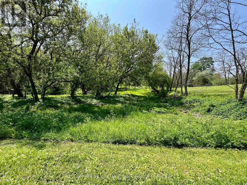 Lt 214 215 Albert Street, Howick, photo 3