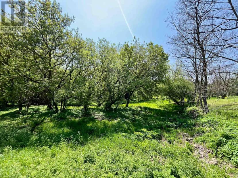 Lt 214 215 Albert Street, Howick, photo 6