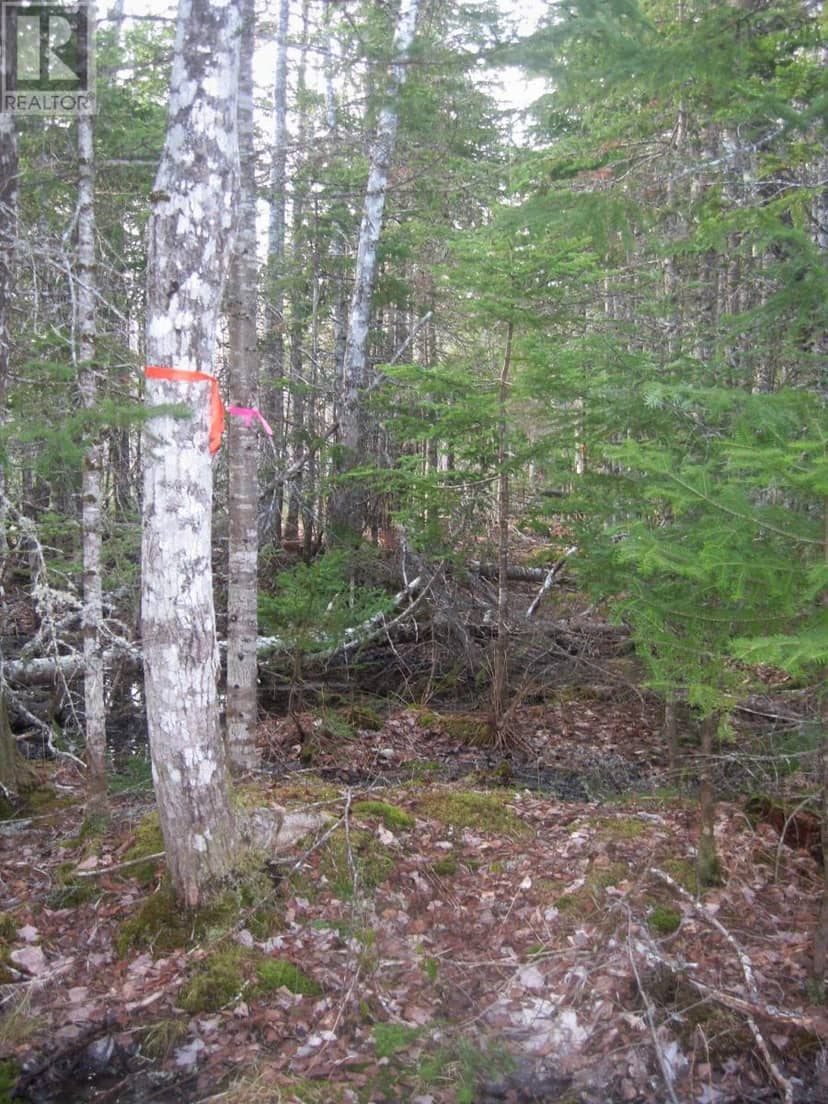 Lot 1 Hunter Road — photo 12 of 14