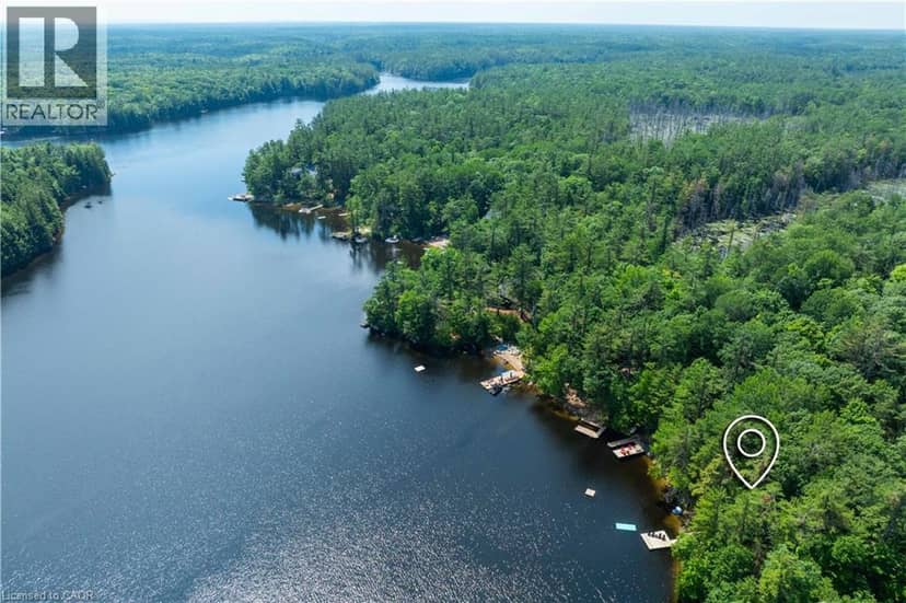 1009 FOGO Street, Bala, photo 8