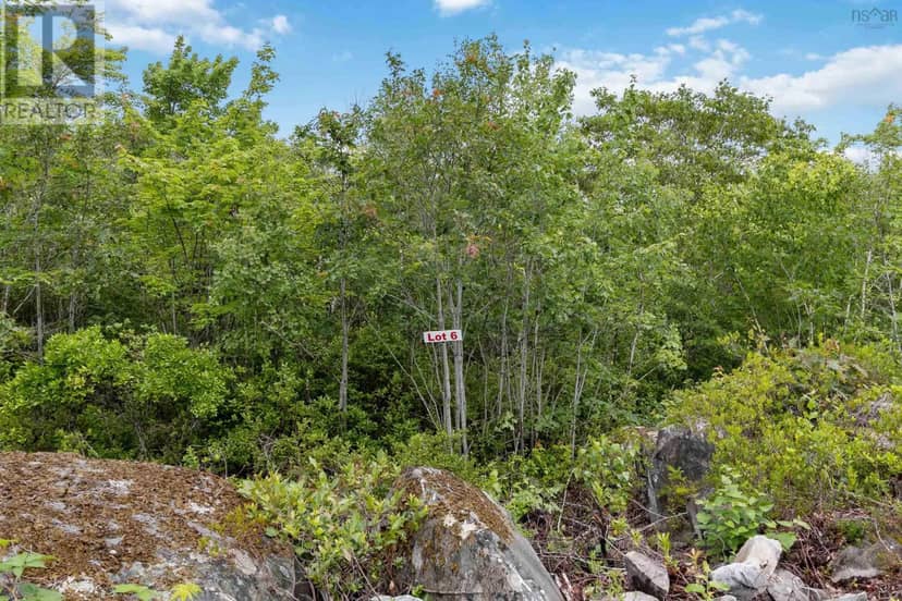 Lot 6 Maple Ridge Drive — photo 9 of 19