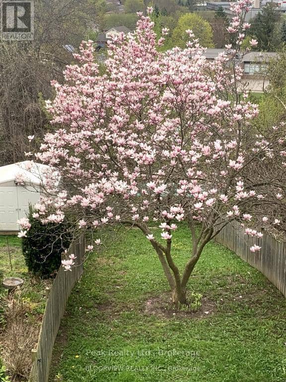 1673 Applewood Crescent — photo 32 of 35