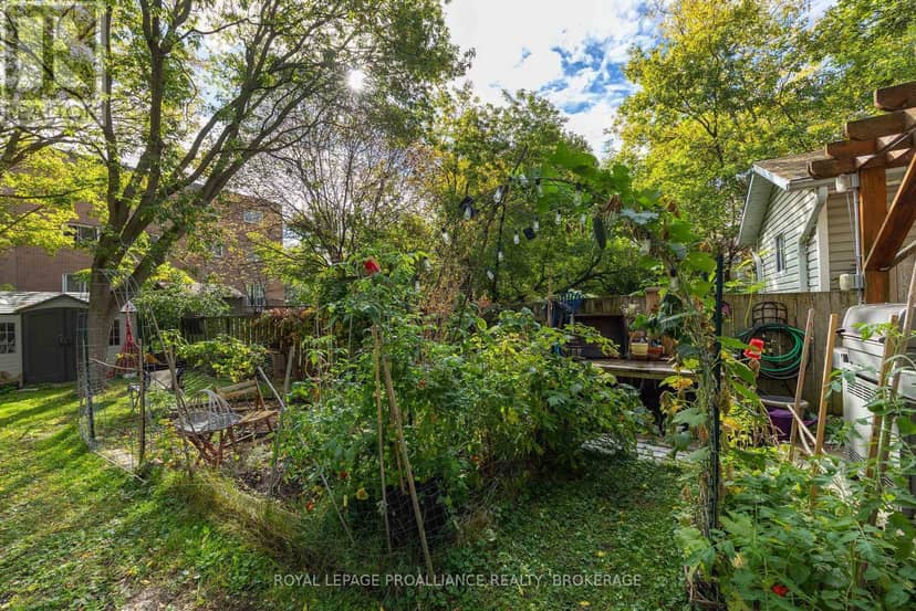 535 Albert Street — photo 17 of 40