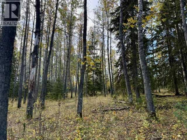 32310 Range Road 45 — photo 10 of 12