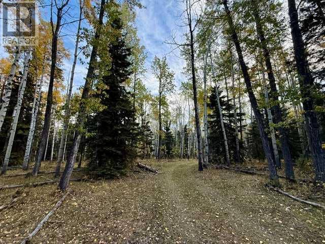 32310 Range Road 45, Rural Mountain View County, photo 6