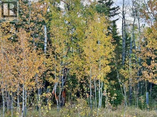 32310 Range Road 45 — photo 9 of 12