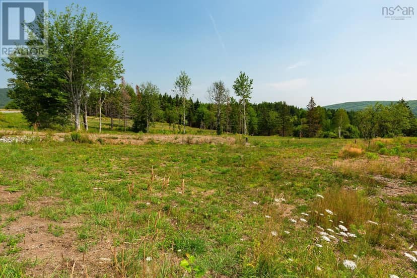 Lot 2 Highway 19, Hawleys Hill — photo 9 of 23