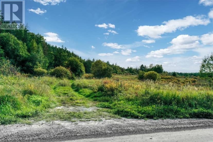 0 Ratter Lake Road, Hagar, photo 3
