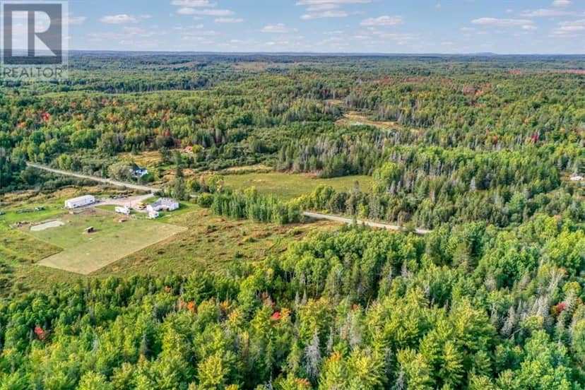 0 Ratter Lake Road, Hagar, photo 8