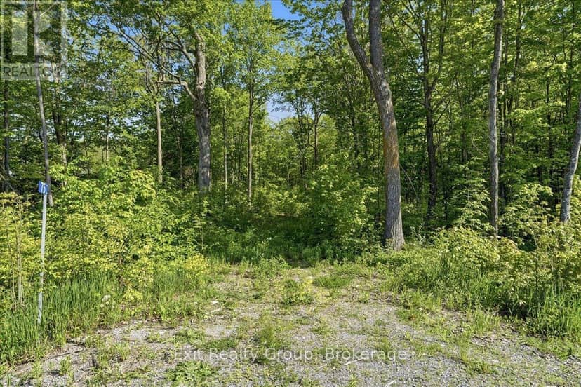75 Spry Road, Stirling-Rawdon, photo 3