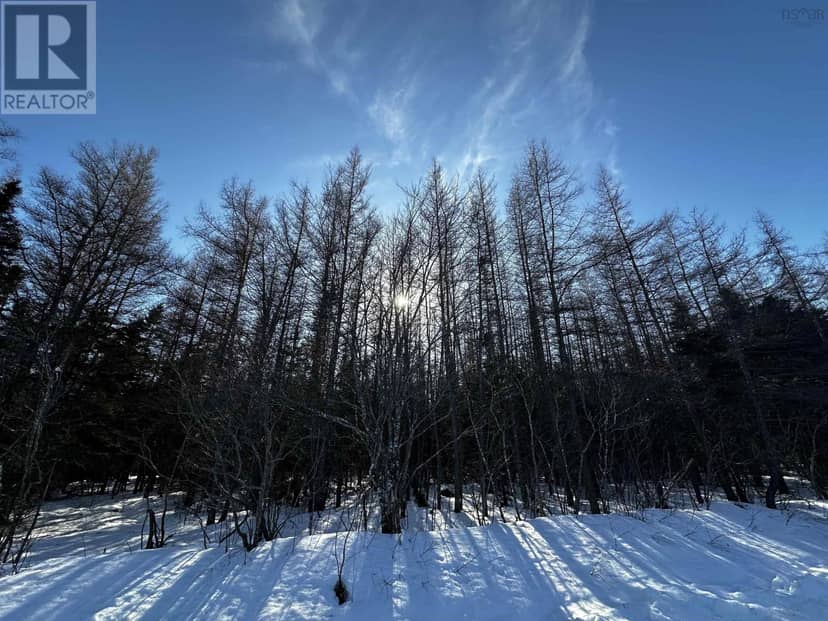 Whycocomagh-Port Hood Road, Southwest Mabou