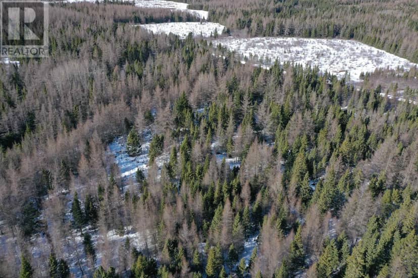 Whycocomagh-Port Hood Road, Southwest Mabou, photo 4