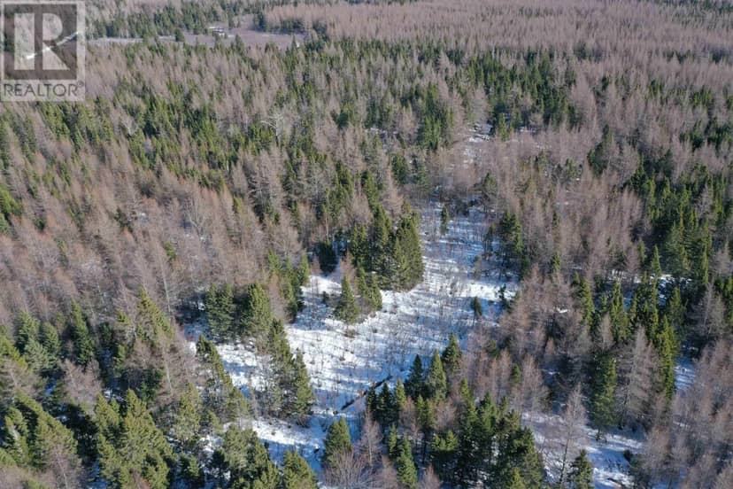 Whycocomagh-Port Hood Road, Southwest Mabou, photo 5
