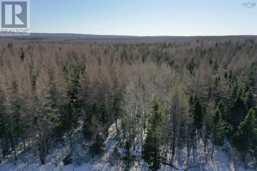 Whycocomagh-Port Hood Road, Southwest Mabou, photo 3