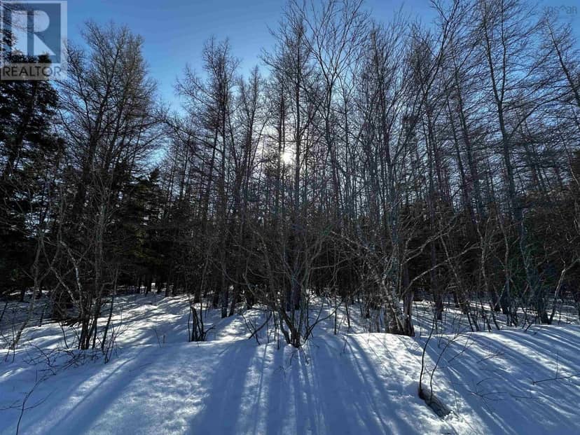 Lot 4C Whycocomagh-Port Hood Road — photo 20 of 24