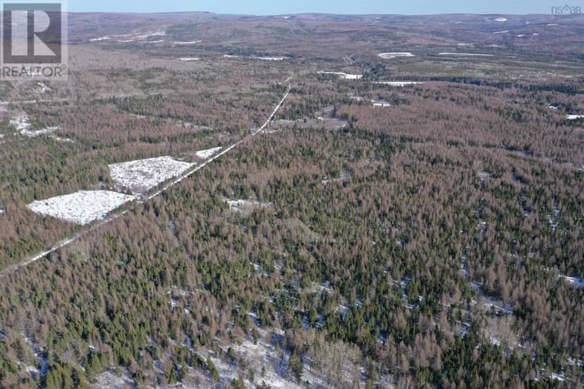 Lot 4E Whycocomagh-Port Hood Road — photo 10 of 24