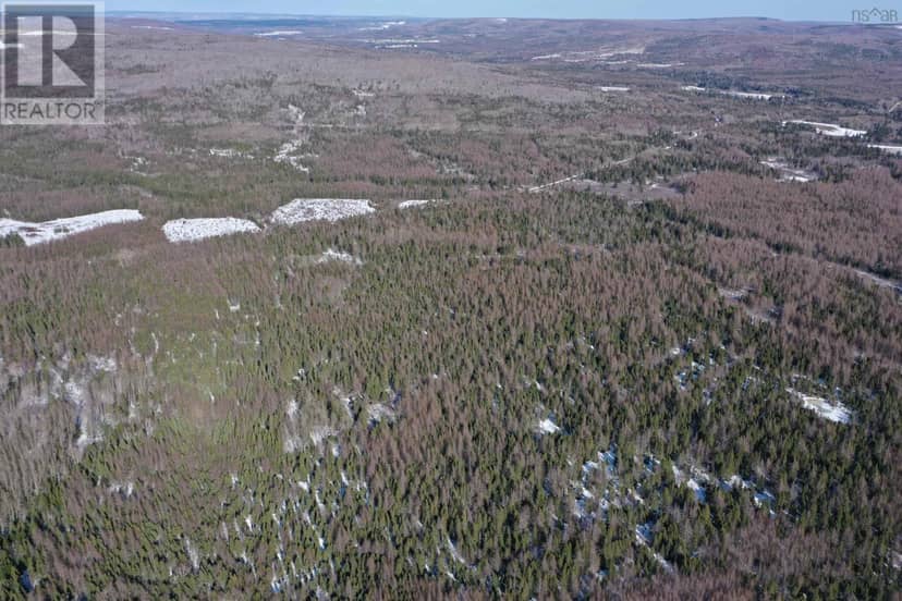 Lot 4D Whycocomagh-Port Hood Road — photo 9 of 24