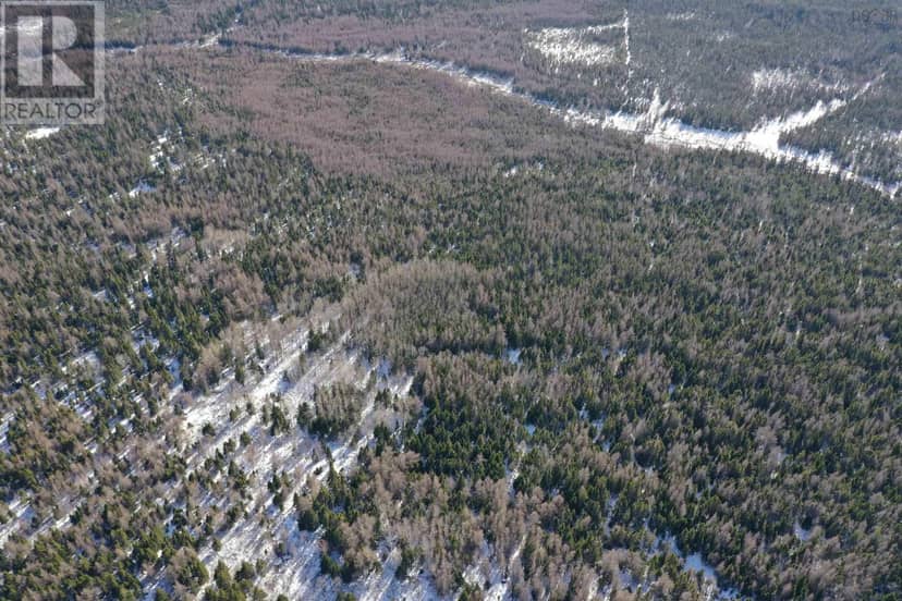 Lot 4E Whycocomagh-Port Hood Road — photo 12 of 24