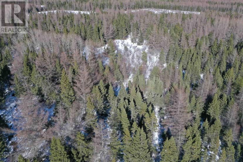 Lot 4D Whycocomagh-Port Hood Road, Southwest Mabou, photo 6
