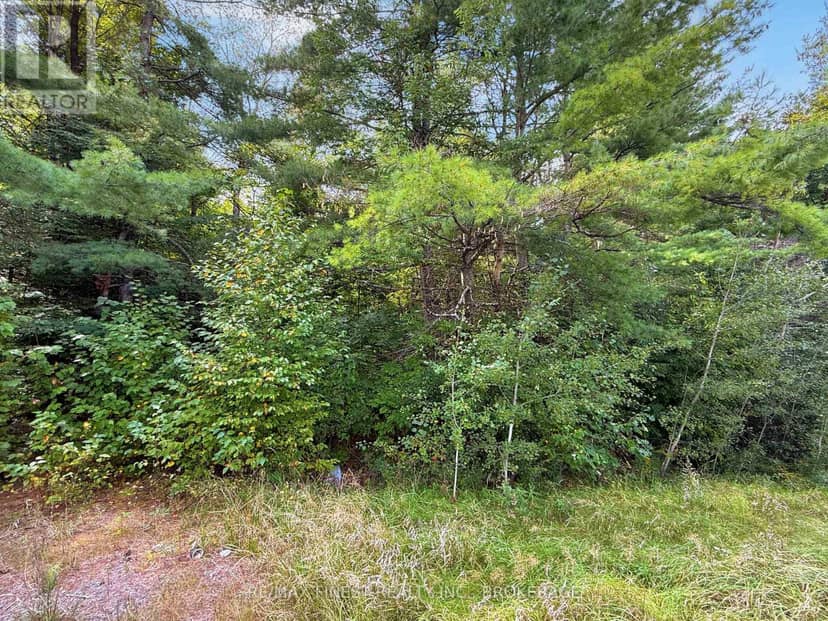 4900 County Rd 4 — photo 2 of 9