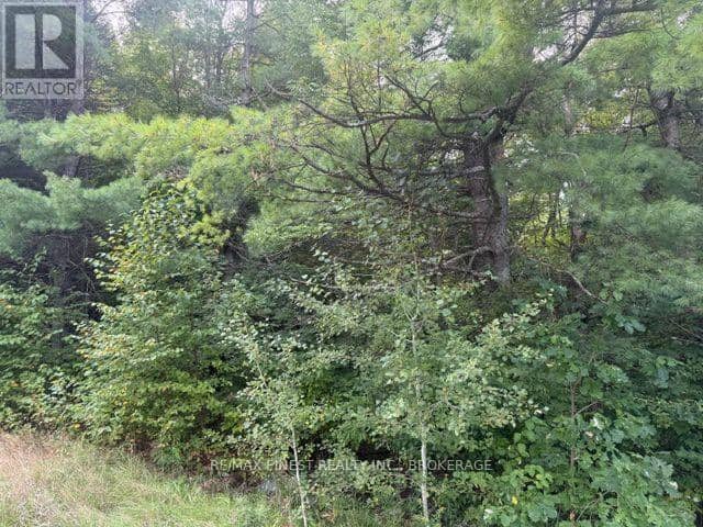 4900 County Rd 4 — photo 9 of 9